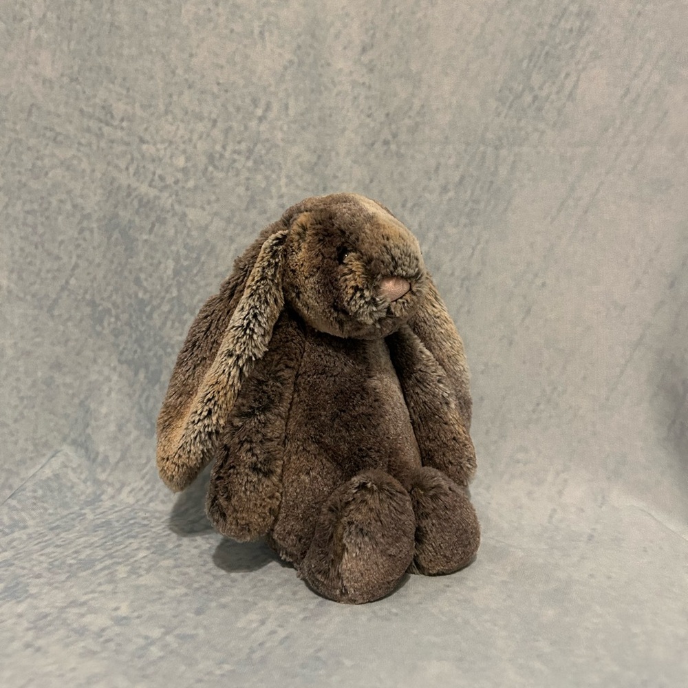 Jellycat Brown Plush Bunny
BASHFUL WOODLAND BUNNY 🐰